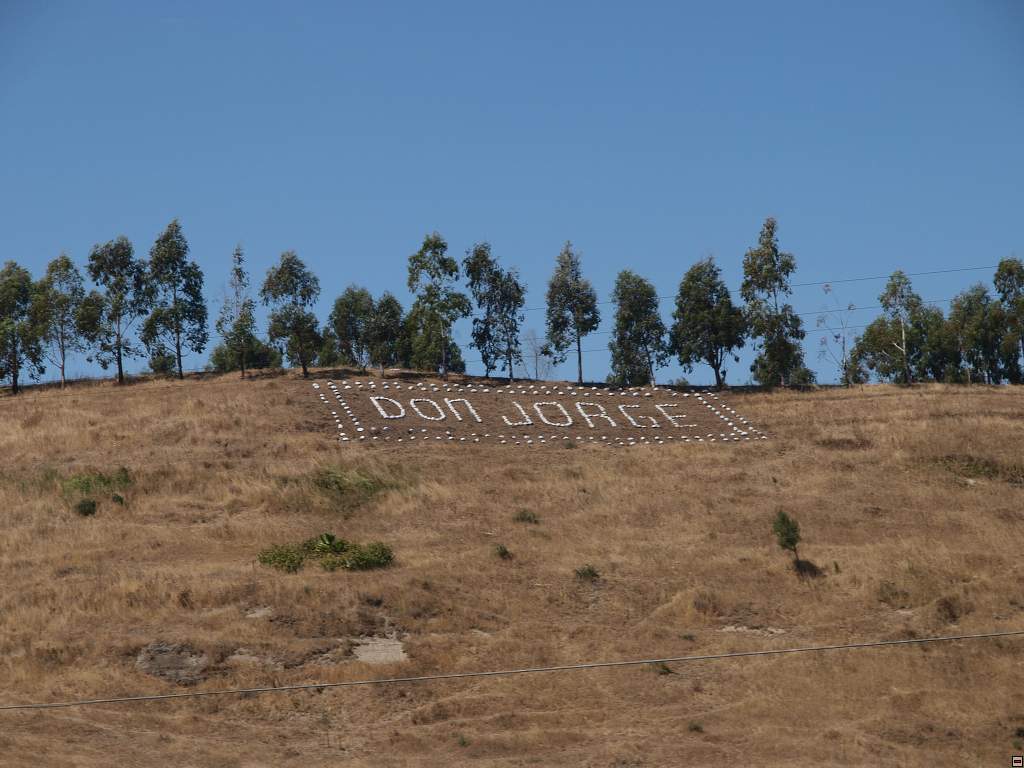 Panamericana v useku Chillan - Temuco.jpg